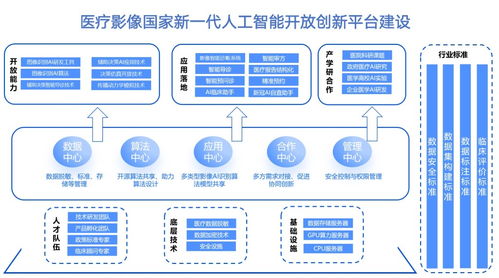 人工智能的前瞻实践 打造医疗影像AI国家级平台